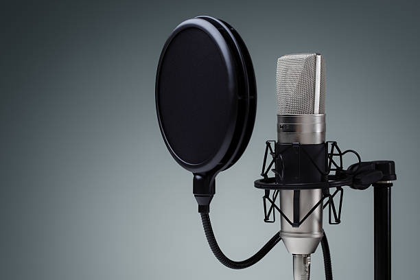 Microphone profesionnel