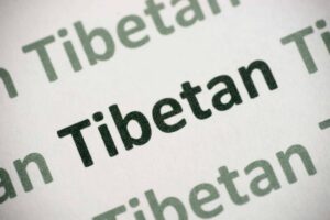 Tibetan translator and interpreter