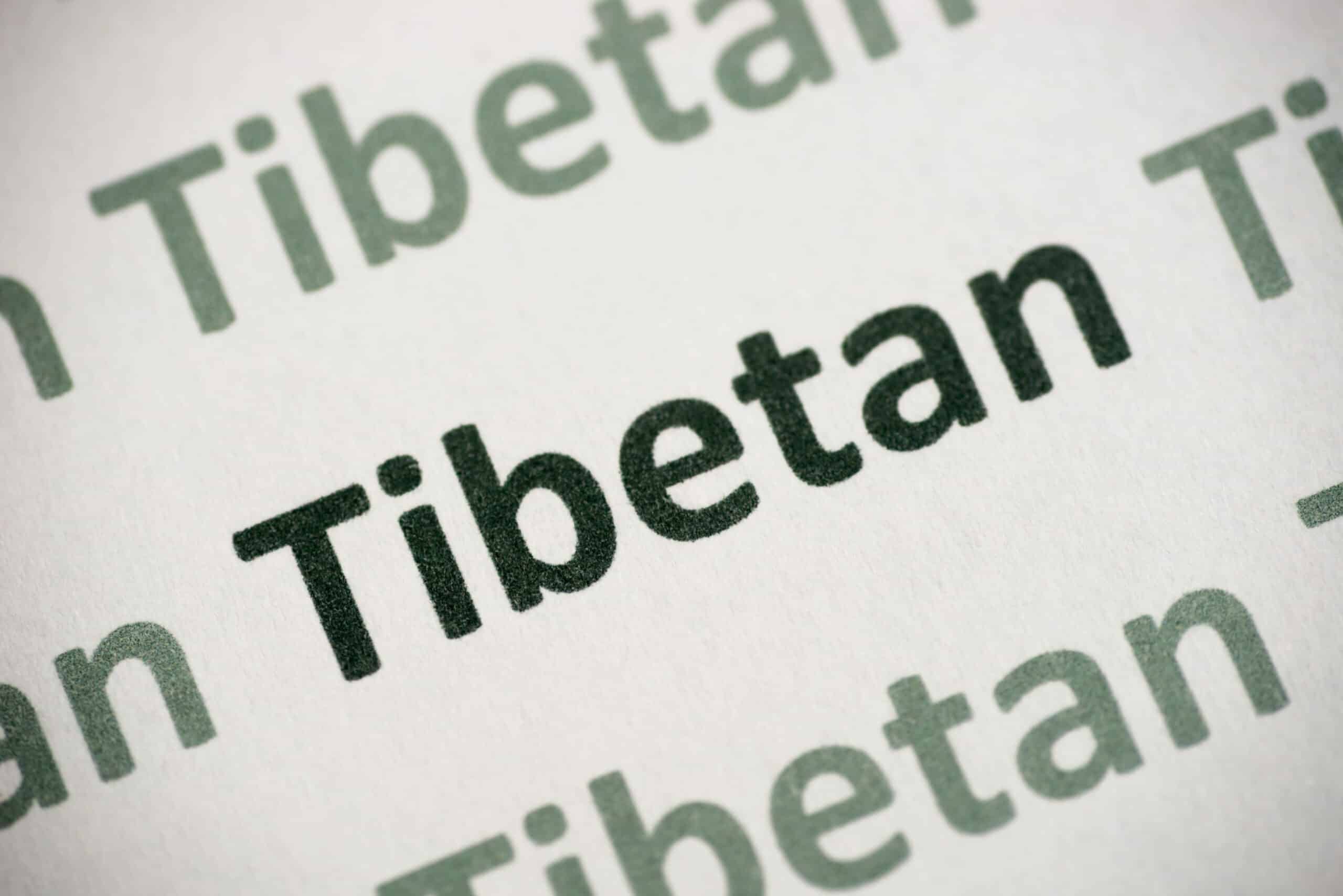 Tibetan translator and interpreter