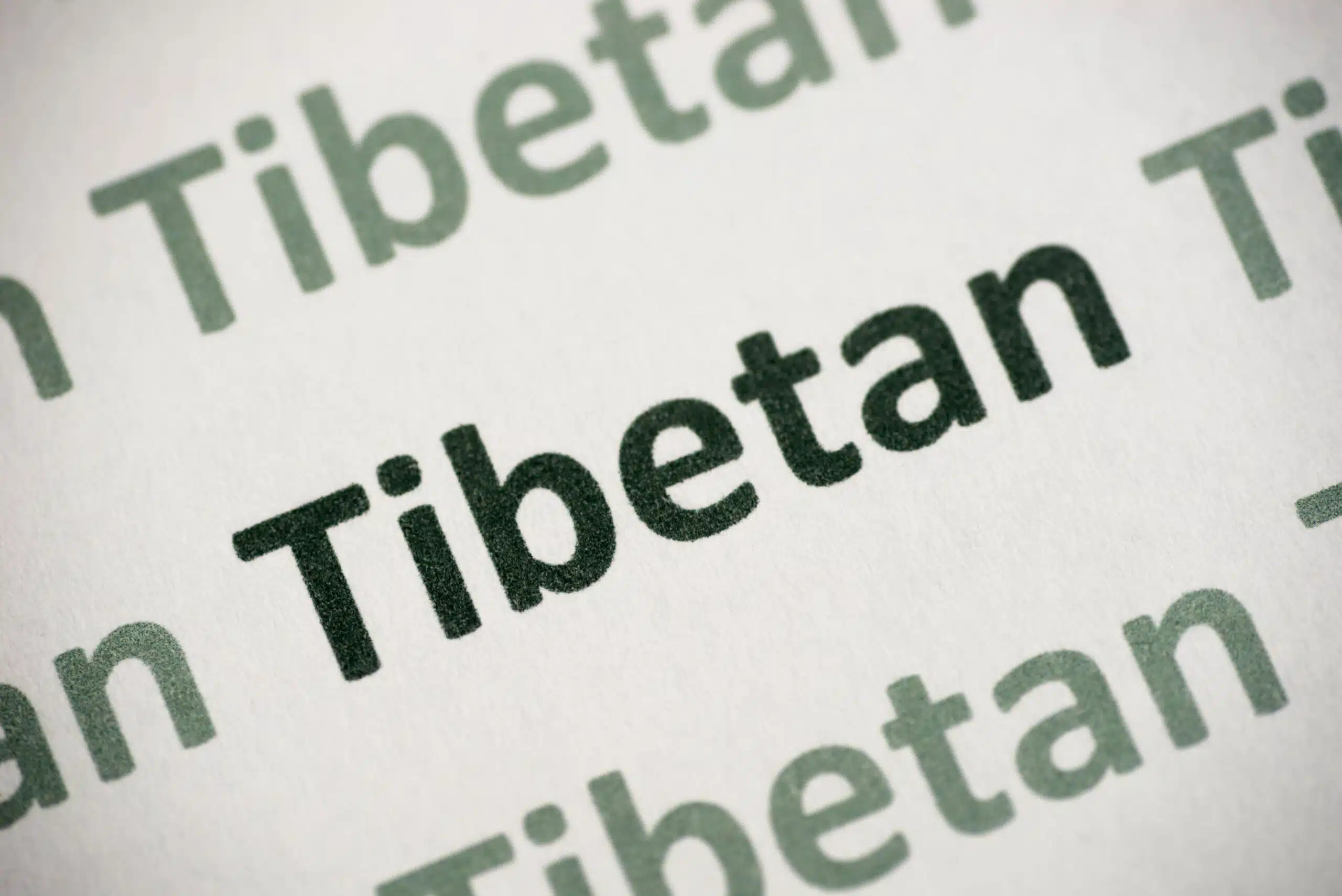 Tibetan translator and interpreter