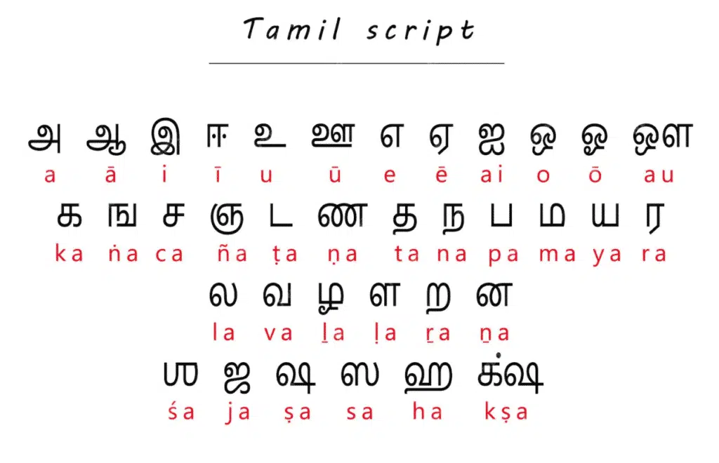 Alphabet tamoul avec translittération