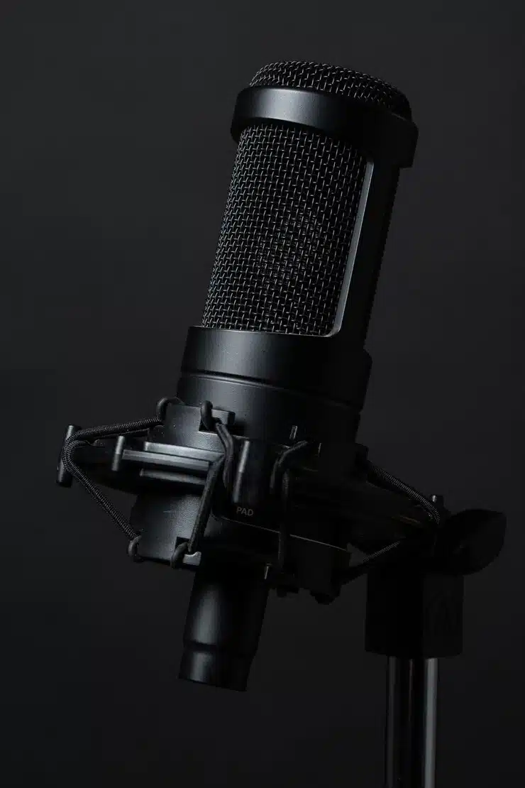 voix-off voice over black microphone