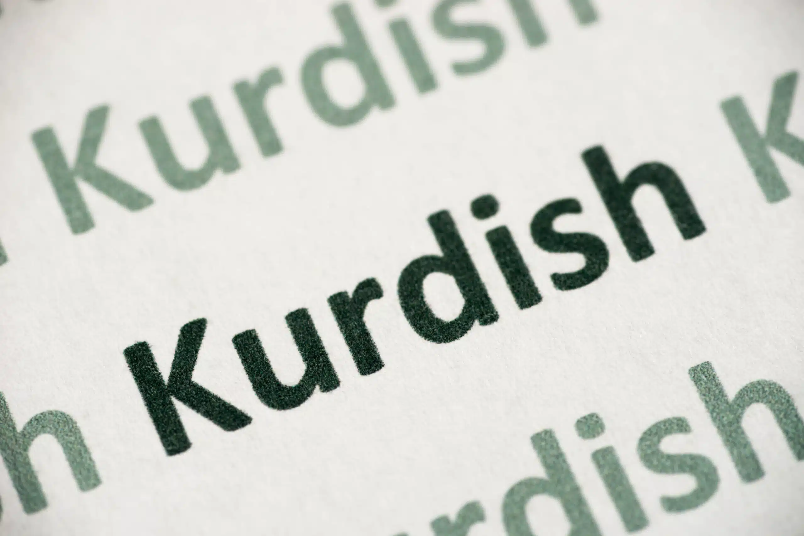 Traducteur interprète kurde professionnel