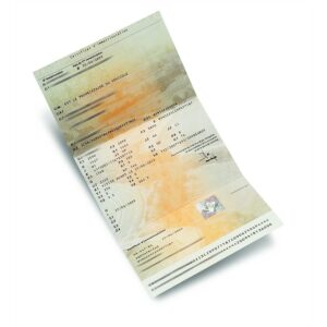 traduction assermentée carte grise