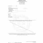 traduction assermentée casier judiciaire